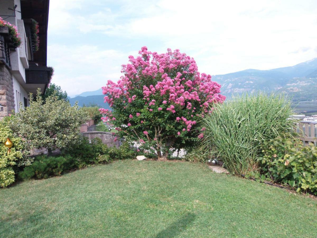 Garni Runggner Traubenhof Hotel Termeno Luaran gambar